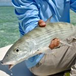 Big Pine Key Fly Fishing Bonefish