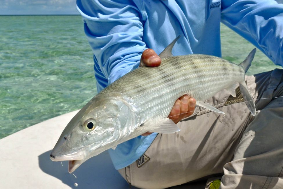 Big Pine Key Fly Fishing Bonefish